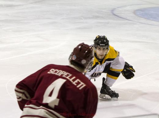 Photo hockey LHJMQ - Ligue de Hockey Junior Majeur du Québec - LHJMQ - Ligue de Hockey Junior Majeur du Québec - Les Condors marrons !