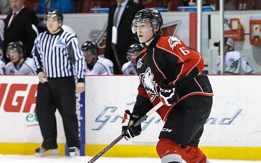 Photo hockey LHJMQ - Ligue de Hockey Junior Majeur du Québec - LHJMQ - Ligue de Hockey Junior Majeur du Québec - LHJMQ : Huskies et Tigres en forme