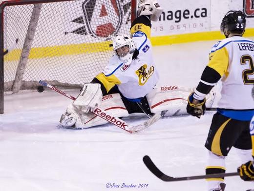 Photo hockey LHJMQ - Ligue de Hockey Junior Majeur du Québec - LHJMQ - Ligue de Hockey Junior Majeur du Québec - On passe aux choses sérieuses chez les Condors !