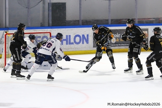 Photo hockey Ligue Magnus - Ligue Magnus  : 19ème journée : Rouen vs Angers  - Les dragons en taille patron.