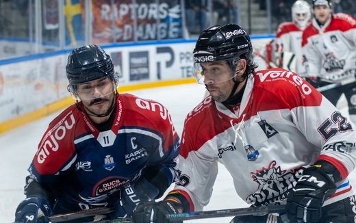 Photo hockey Ligue Magnus - Ligue Magnus  : 20ème journée : Angers  vs Bordeaux - Bordeaux s