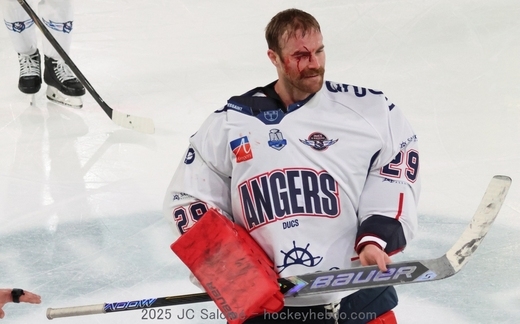Photo hockey Ligue Magnus - Ligue Magnus  : 21ème journée : Grenoble  vs Angers  - Chaud les marrons ! 