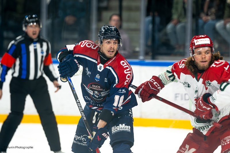 Photo hockey Ligue Magnus - Ligue Magnus  : 26ème journée : Angers  vs Cergy-Pontoise - Les Ducs s
