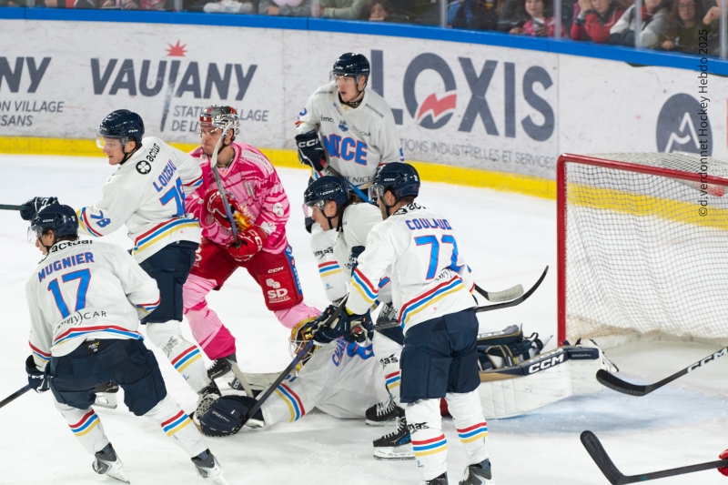 Photo hockey Ligue Magnus - Ligue Magnus  : 9ème journée : Grenoble  vs Nice - Les Aigles se brûlent les ailes à Grenoble