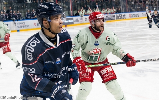 Photo hockey Ligue Magnus - Ligue Magnus - 1/4 de Finale - Match 2 : Angers  vs Cergy-Pontoise - Poffs LM -M2 - Angers s