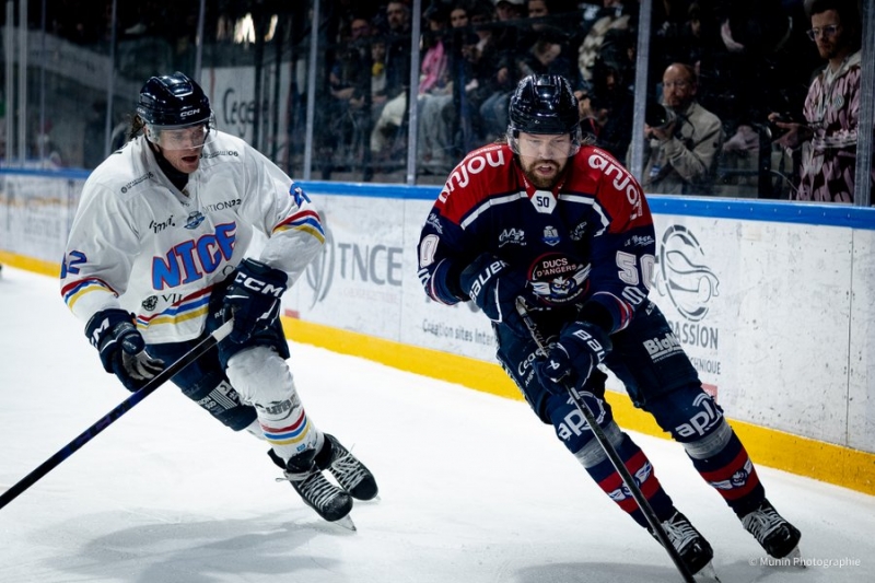Photo hockey Ligue Magnus - Ligue Magnus - 1/4 de Finale - Match 5 : Angers  vs Nice - Nice empoche le cinquième round !