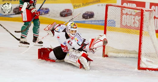 Photo hockey Ligue Magnus - Ligue Magnus : 10ème journée : Anglet vs Amiens  - Les Gothiques opportunistes