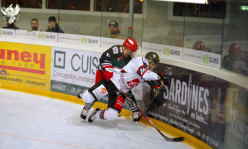 Photo hockey Ligue Magnus - Ligue Magnus : 10ème journée : Anglet vs Amiens  - Les Gothiques opportunistes