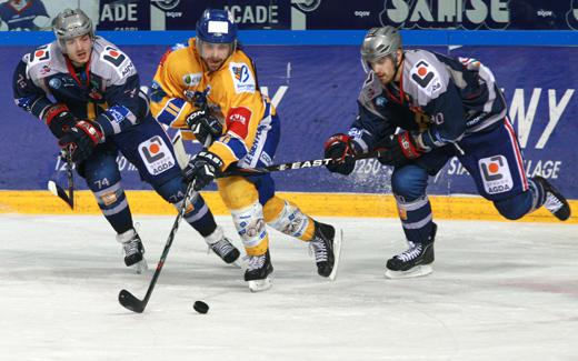 Photo hockey Ligue Magnus - Ligue Magnus : 10ème journée : Grenoble  vs Dijon  - Grenoble dans la mauvaise spirale