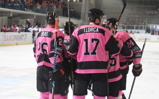 Photo hockey Ligue Magnus - Ligue Magnus : 11ème journée : Epinal  vs Nice - Le rose leur réussit