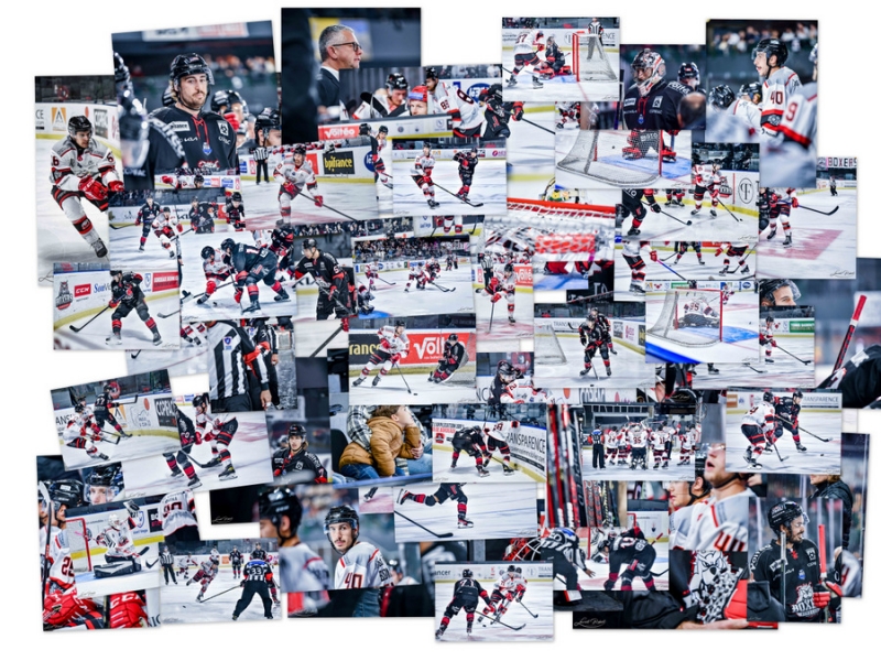 Photo hockey Ligue Magnus - Ligue Magnus : 12ème journée : Bordeaux vs Nice - Nice s