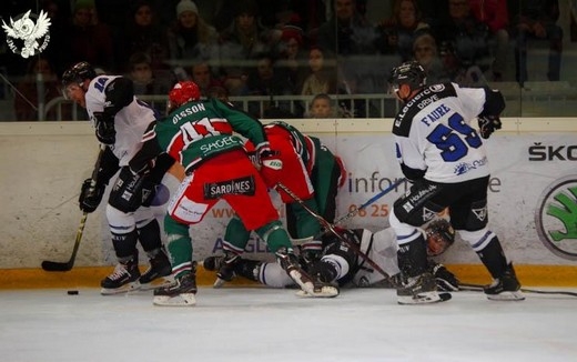 Photo hockey Ligue Magnus - Ligue Magnus : 14ème journée : Anglet vs Gap  - Anglet s