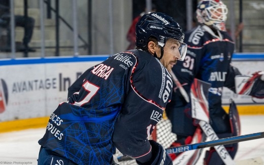 Photo hockey Ligue Magnus - Ligue Magnus : 15ème journée : Angers  vs Marseille - Un week-end à six points !