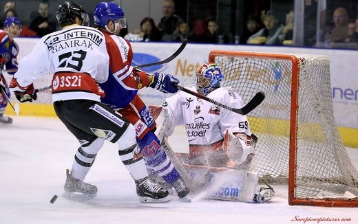 Photo hockey Ligue Magnus - Ligue Magnus : 15ème journée : Mulhouse vs Nice - Mulhouse se remet en selle