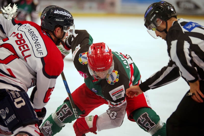 Photo hockey Ligue Magnus - Ligue Magnus : 16ème journée : Anglet vs Angers  - 4 à la suite