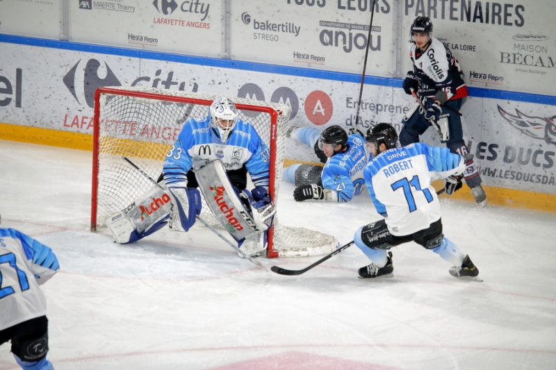 Photo hockey Ligue Magnus - Ligue Magnus : 19ème journée : Angers  vs Gap  - LM : Angers s