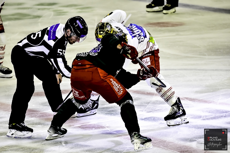 Photo hockey Ligue Magnus - Ligue Magnus : 1ere journée : Cergy-Pontoise vs Grenoble  - Cergy déjoue les pronostics et renverse Grenoble