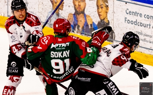Photo hockey Ligue Magnus - Ligue Magnus : 1ere journée : Cergy-Pontoise vs Amiens - Belle rentrée des classes pour les jeunes de Cergy Photo hockey Ligue Magnus - Ligue Magnus : 1ere journée : Cergy-Pontoise vs Amiens - Belle rentrée des classes pour les jeunes de Cergy