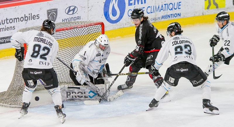 Photo hockey Ligue Magnus - Ligue Magnus : 23ème journée : Amiens  vs Marseille - Marseille s