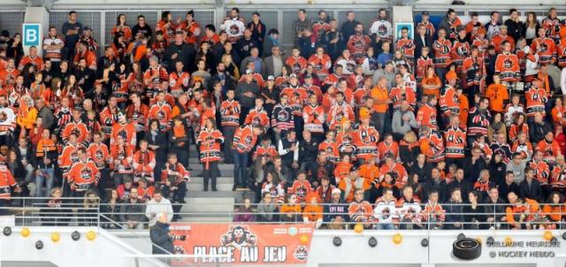 Photo hockey Ligue Magnus - Ligue Magnus : 26ème journée : Epinal  vs Lyon - Epinal « dauphin » de saison régulière