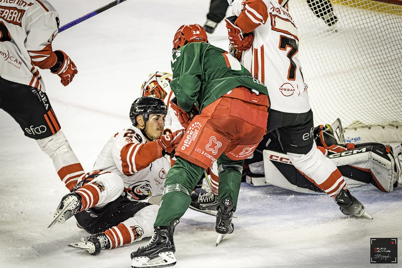 Photo hockey Ligue Magnus - Ligue Magnus : 29ème journée : Cergy-Pontoise vs Nice - La belle opération de Nice !