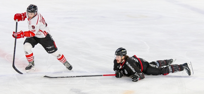 Photo hockey Ligue Magnus - Ligue Magnus : 31ème journée : Amiens  vs Nice - Nice s