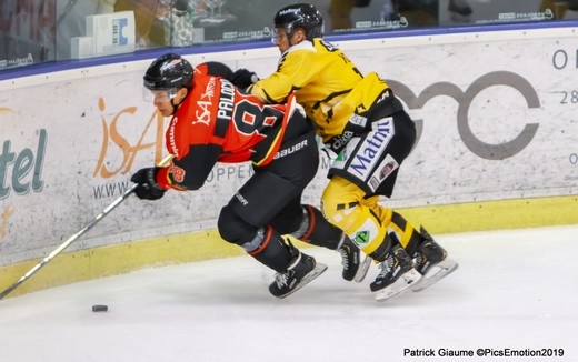 Photo hockey Ligue Magnus - Ligue Magnus : 33ème journée : Nice vs Rouen - Retour en images