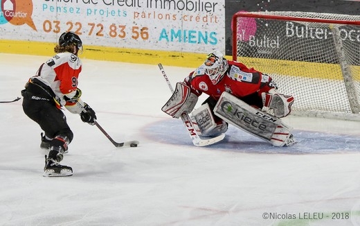 Photo hockey Ligue Magnus - Ligue Magnus : 38ème journée : Amiens  vs Nice - Reportage photos