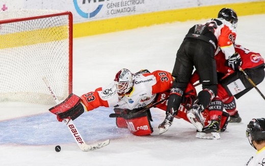 Photo hockey Ligue Magnus - Ligue Magnus : 3ème journée : Amiens  vs Nice - Nice s