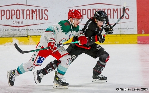 Photo hockey Ligue Magnus - Ligue Magnus : 42ème journée : Amiens  vs Anglet - Amiens s