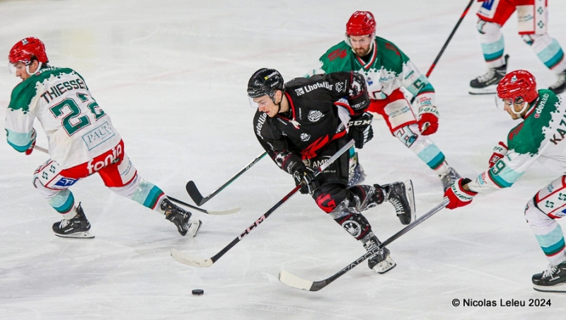 Photo hockey Ligue Magnus - Ligue Magnus : 42ème journée : Amiens  vs Anglet - Amiens s