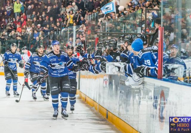 Photo hockey Ligue Magnus - Ligue Magnus : 42ème journée : Gap  vs Bordeaux - LM : Un collectif Gapençais implacable