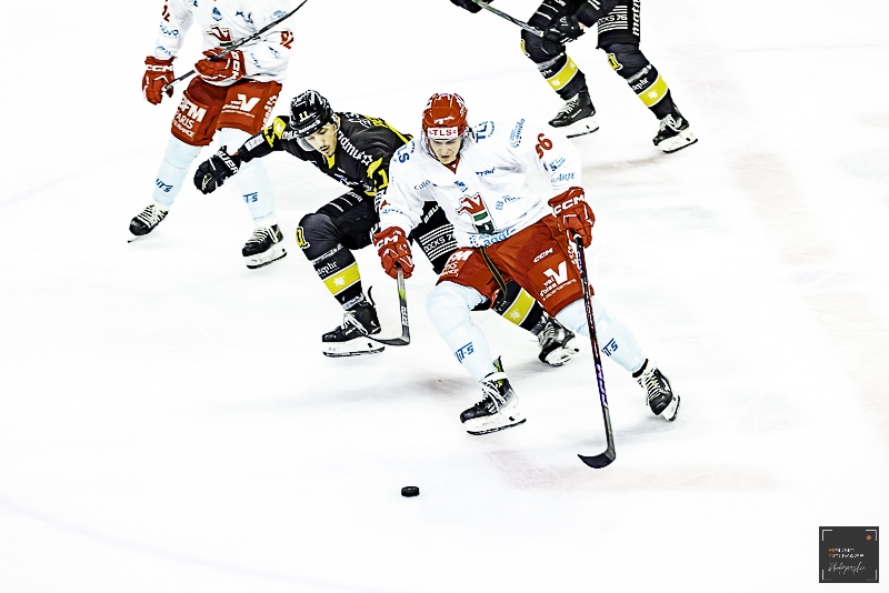 Photo hockey Ligue Magnus - Ligue Magnus : 43ème journée : Cergy-Pontoise vs Rouen - Cergy au pied du mur !