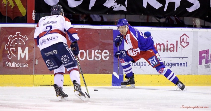 Photo hockey Ligue Magnus - Ligue Magnus : 44ème journée : Mulhouse vs Angers  - Les promus obtiennent le ticket d’or 