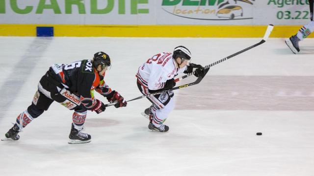 Photo hockey Ligue Magnus - Ligue Magnus : 4ème journée : Amiens  vs Morzine-Avoriaz - LM : Amiens bat Morzine sans briller 
