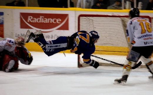 Photo hockey Ligue Magnus - Ligue Magnus : 7ème journée : Dijon  vs Morzine-Avoriaz - Logique respectée