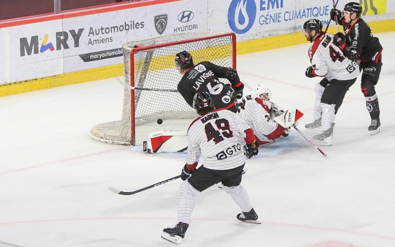Photo hockey Ligue Magnus - Ligue Magnus : 9ème journée : Amiens  vs Bordeaux - Les PHOTOS de la victoire D