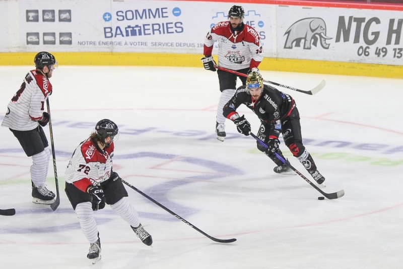 Photo hockey Ligue Magnus - Ligue Magnus : 9ème journée : Amiens  vs Bordeaux - Les PHOTOS de la victoire D