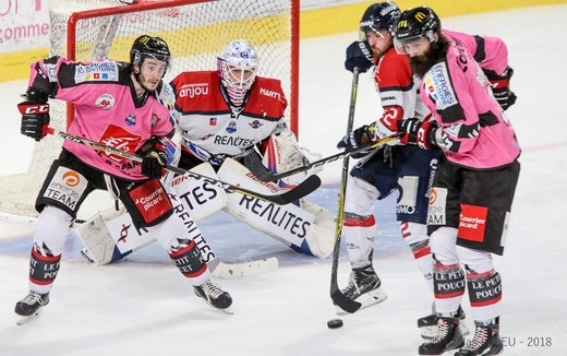 Photo hockey Ligue Magnus - Ligue Magnus : 9ème journée : Amiens  vs Angers  - Tout n\