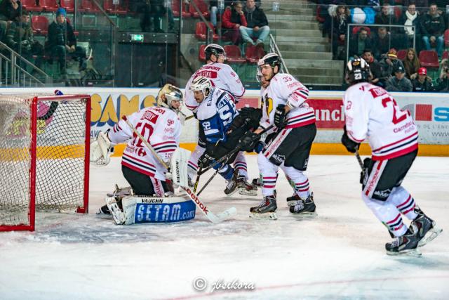 Photo hockey Ligue Magnus - Ligue Magnus : 9ème journée : Gap  vs Morzine-Avoriaz - Les Pingouins n\