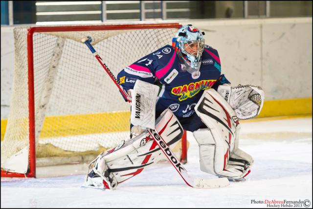 Photo hockey Ligue Magnus - Ligue Magnus : Epinal  (Les Wildcats) - Présentation Epinal 2013-2014