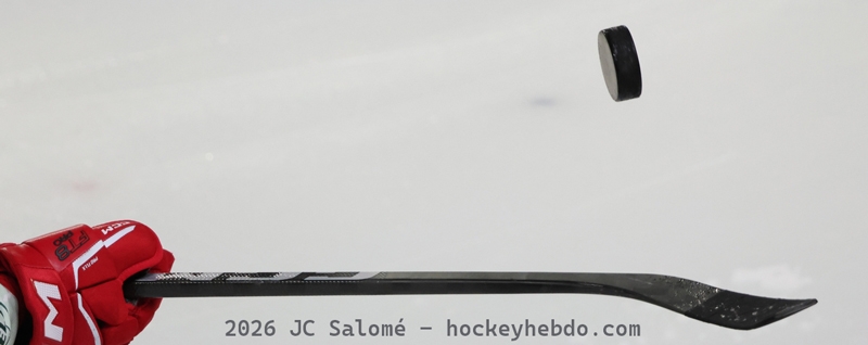 Photo hockey Ligue Magnus - Ligue Magnus - Ligue Magnus: Point sur les playoffs et playdowns 