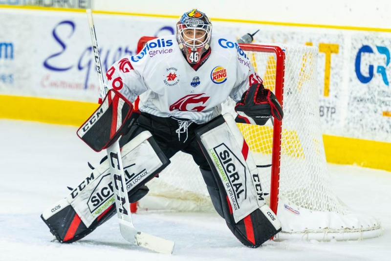 Photo hockey Ligue Magnus - Ligue Magnus - LM - Présentation Amiens
