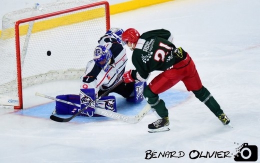 Photo hockey Ligue Magnus - Ligue Magnus - Préparation : Cergy vs Angers