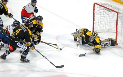 Photo hockey Ligue Magnus - Ligue Magnus - Préparation : Photos Angers vs Rouen