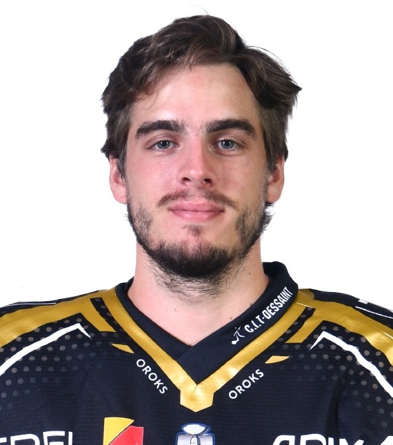 Photo hockey Ligue Magnus - Ligue Magnus - Réactions d