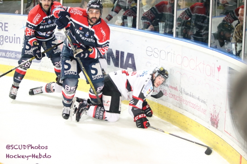 Photo hockey Ligue Magnus - Ligue Magnus :19ème journée : Angers  vs Amiens  - Reportage photos