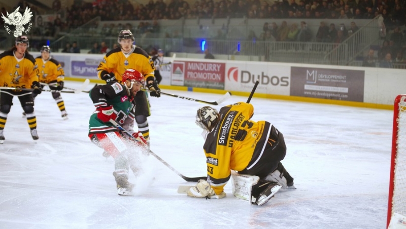 Photo hockey Ligue Magnus - Ligue Magnus :19ème journée : Anglet vs Strasbourg  - Strasbourg s
