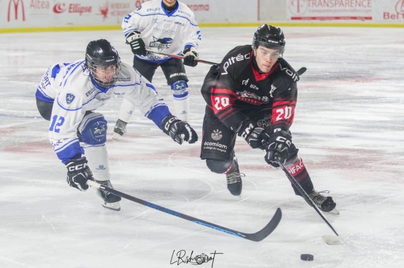 Photo hockey Mineur U17/U20 Elite -  : Bordeaux Mineur vs Gap U20 - U20 Elite - Gap s