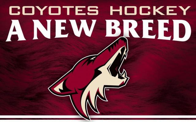 Photo hockey NHL : National Hockey League - AHL - NHL : National Hockey League - AHL - B. Perlini : l’Arizona a un nouveau bébé coyote